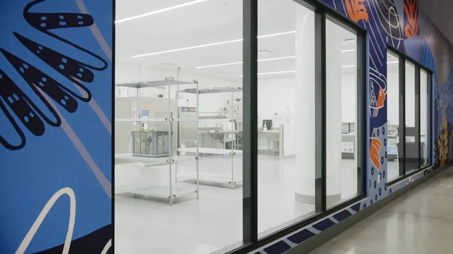 The analytical laboratory seen through the glass wall of the corridor, benches and shelving inside